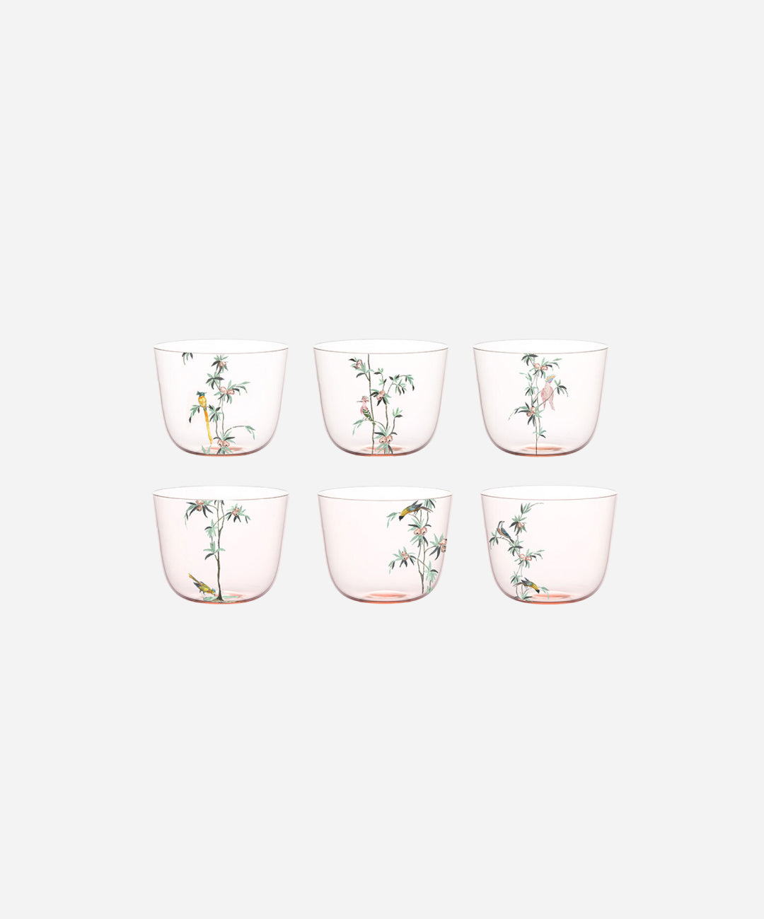 Alpha Garden of Paradise Water Tumblers, Set of 6