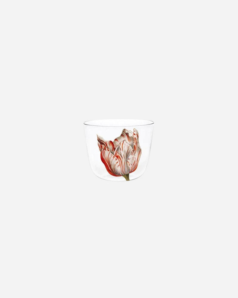 Alpha Tulipmania Water Tumblers, Set of 5