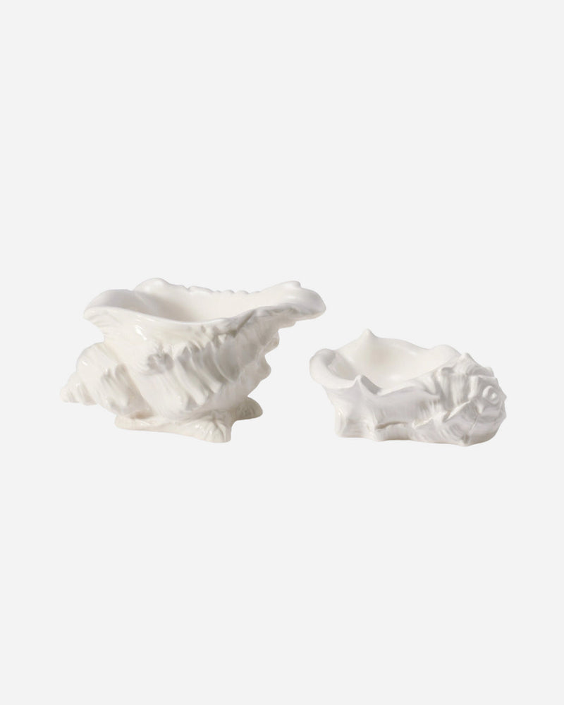 Conch Shell Dish, Set of 2