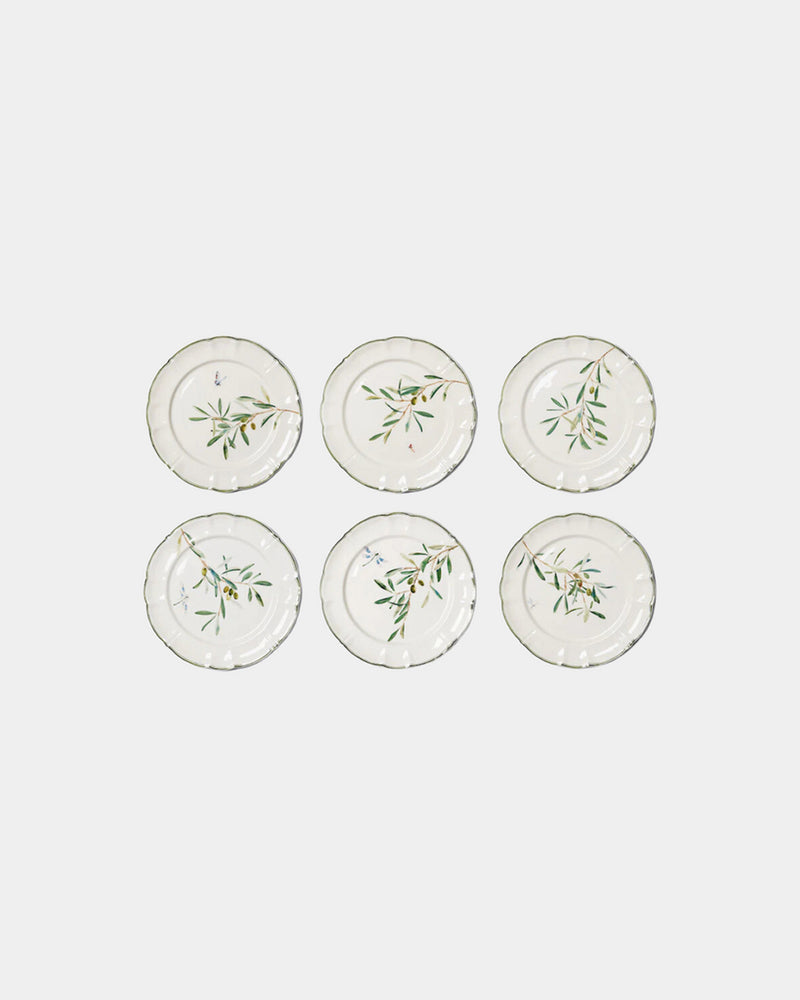 Ulivi Dinner Plates, Set of 6