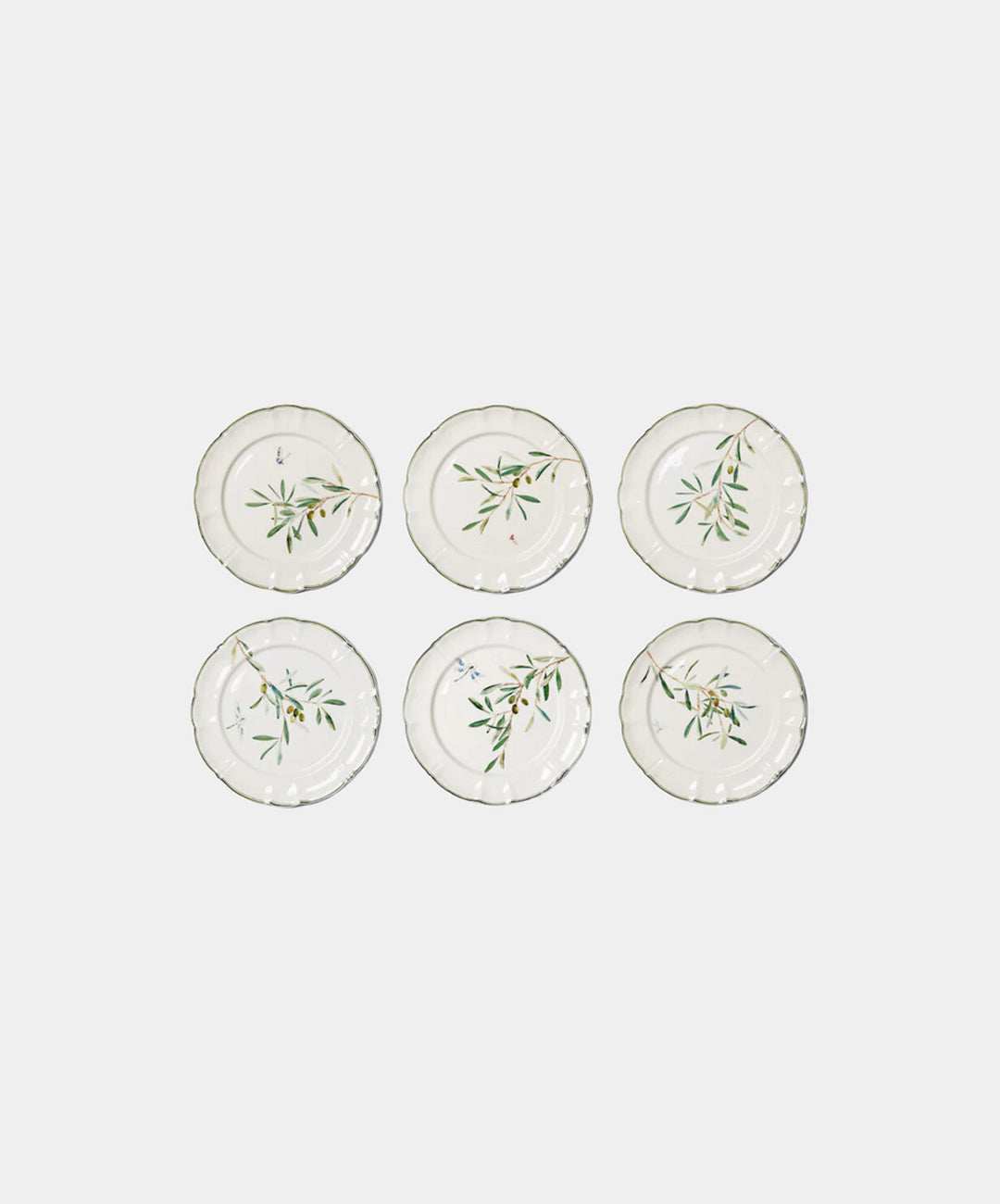 Ulivi Dinner Plates, Set of 6