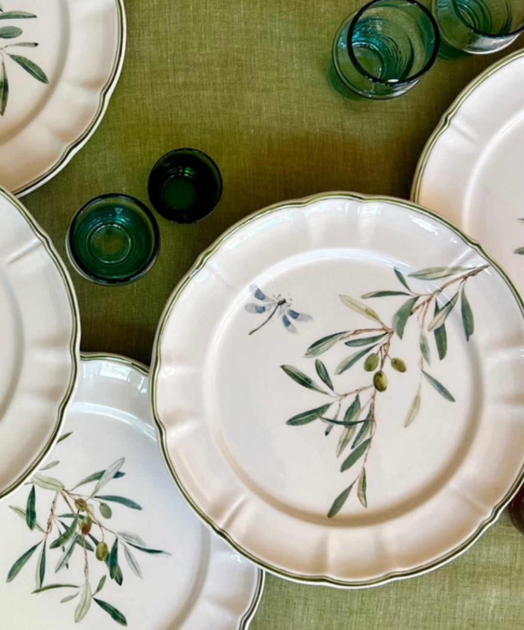 Ulivi Dinner Plates, Set of 6