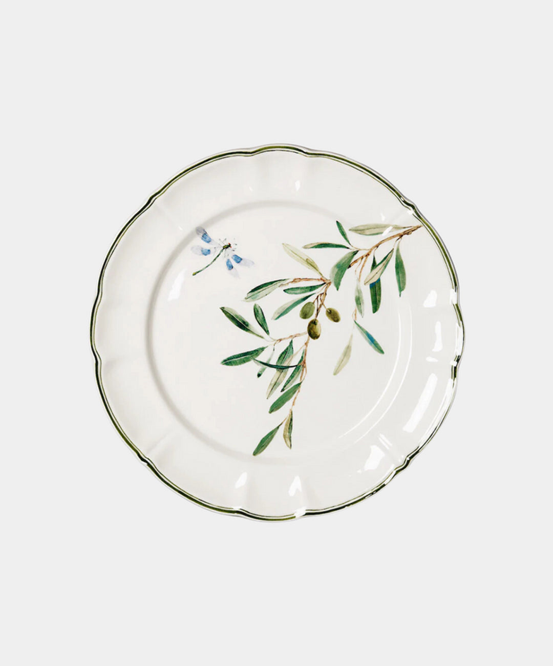 Ulivi Dinner Plates, Set of 6