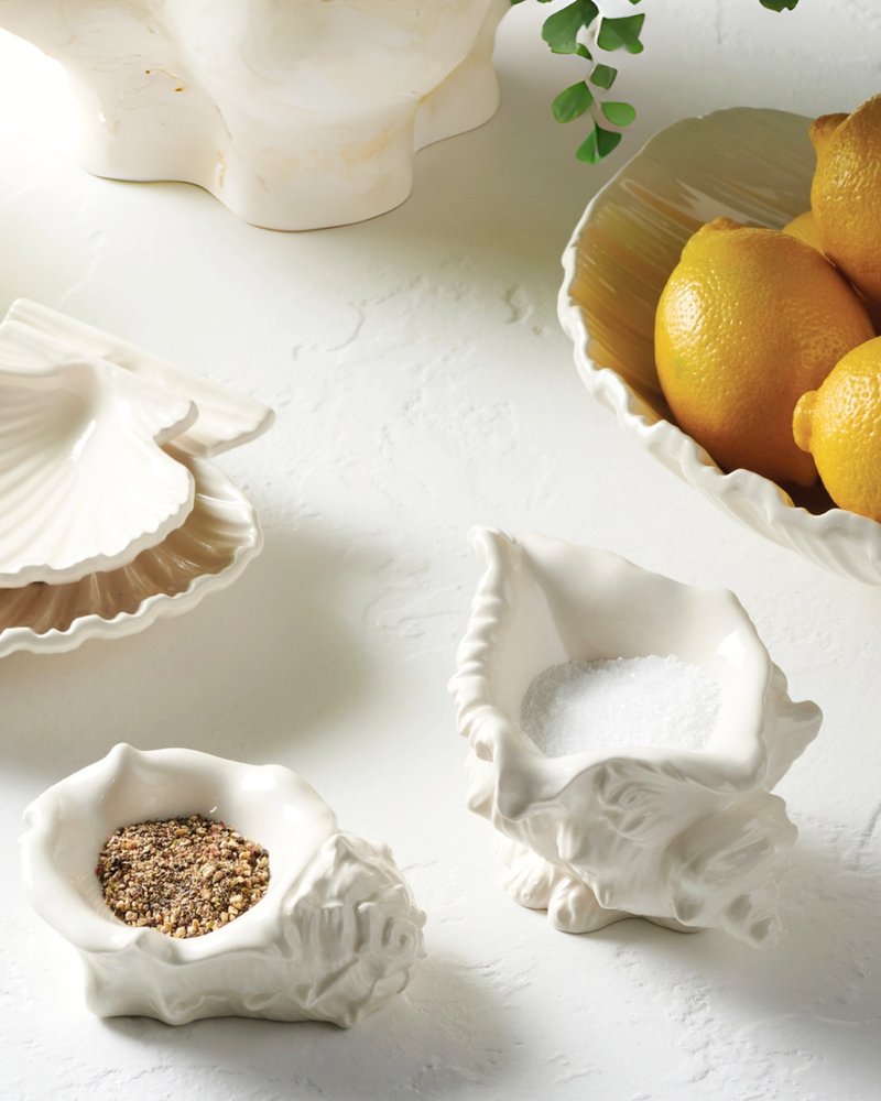 Conch Shell Dish, Set of 2