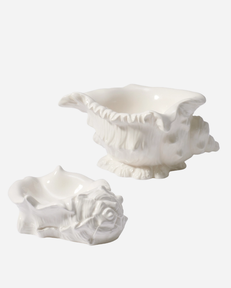 Conch Shell Dish, Set of 2