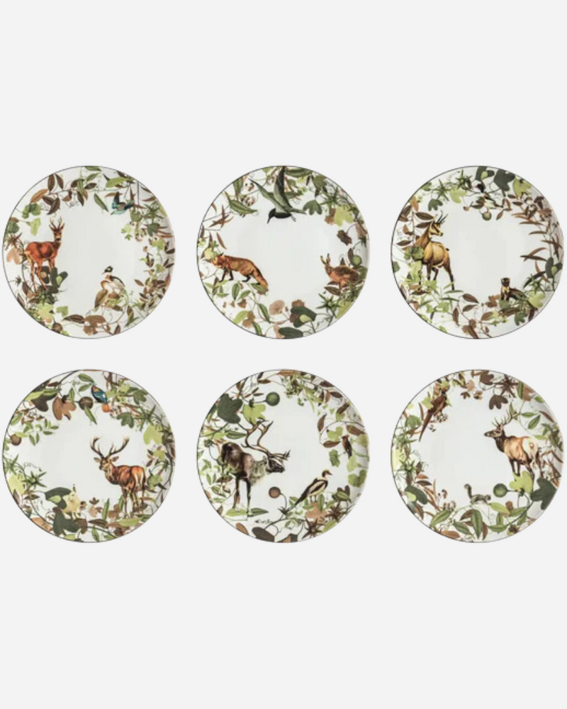 Mont Blanc Dinner Plates, Set of 6