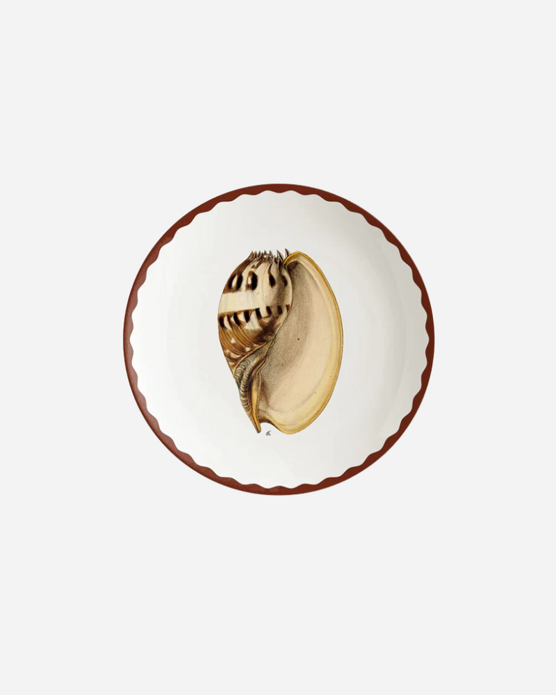 Cabinet De Curiosites Shell Bread Plates, Set of 4