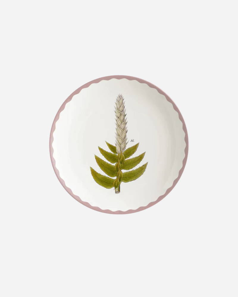Cabinet De Curiosites Seaweed Bread Plates, Set of 4