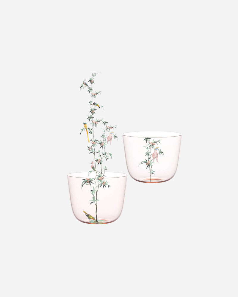 Alpha Garden of Paradise Water Tumblers, Set of 6