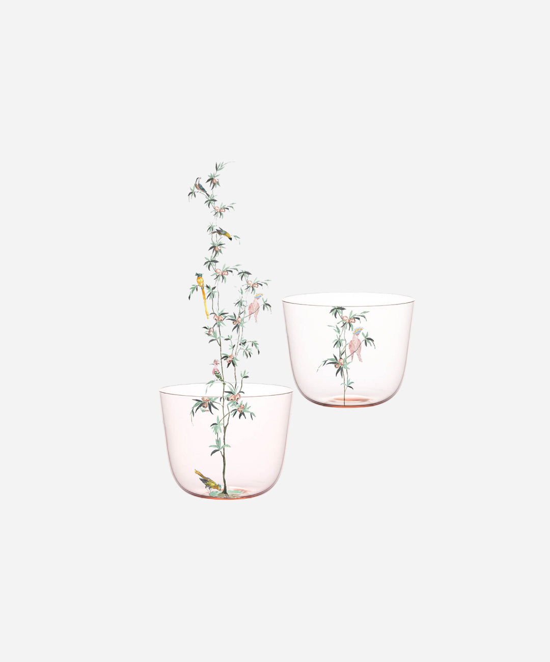 Alpha Garden of Paradise Water Tumblers, Set of 6