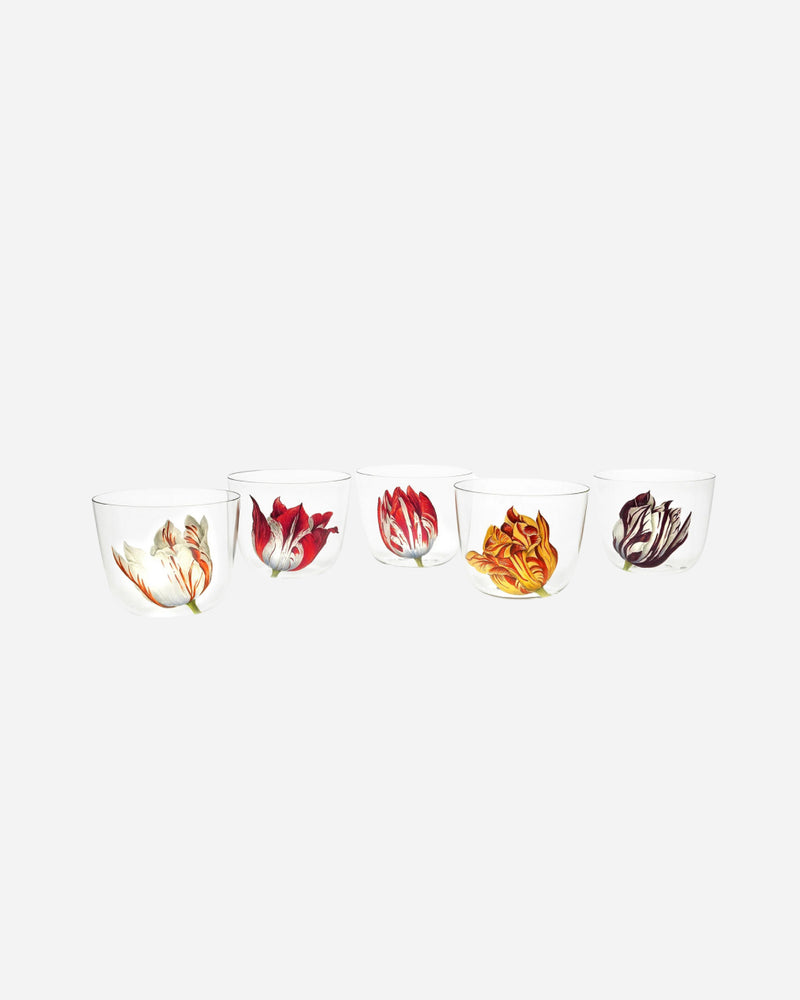 Alpha Tulipmania Water Tumblers, Set of 5