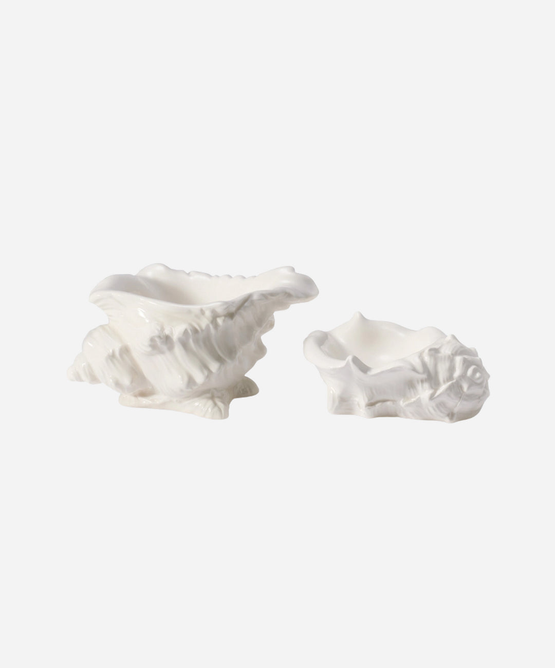 Conch Shell Dish, Set of 2