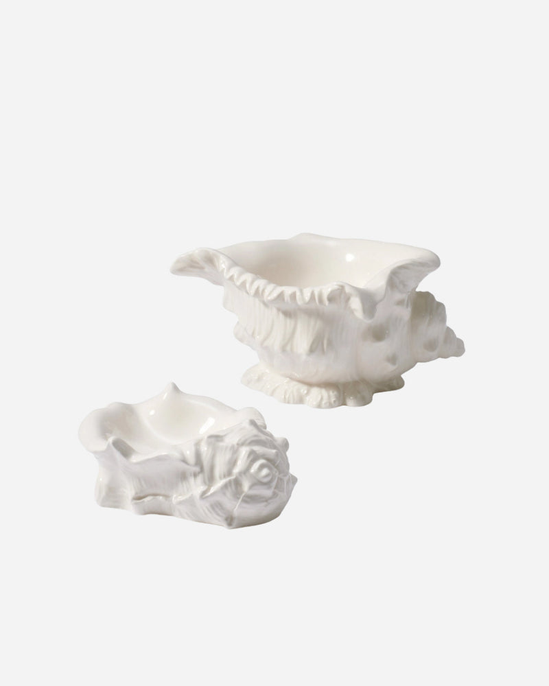 Conch Shell Dish, Set of 2