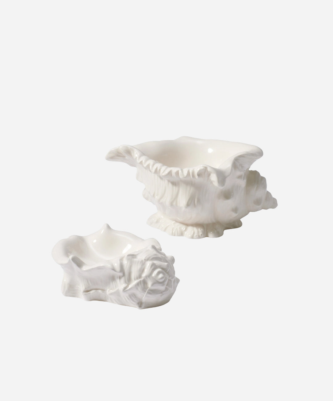 Conch Shell Dish, Set of 2