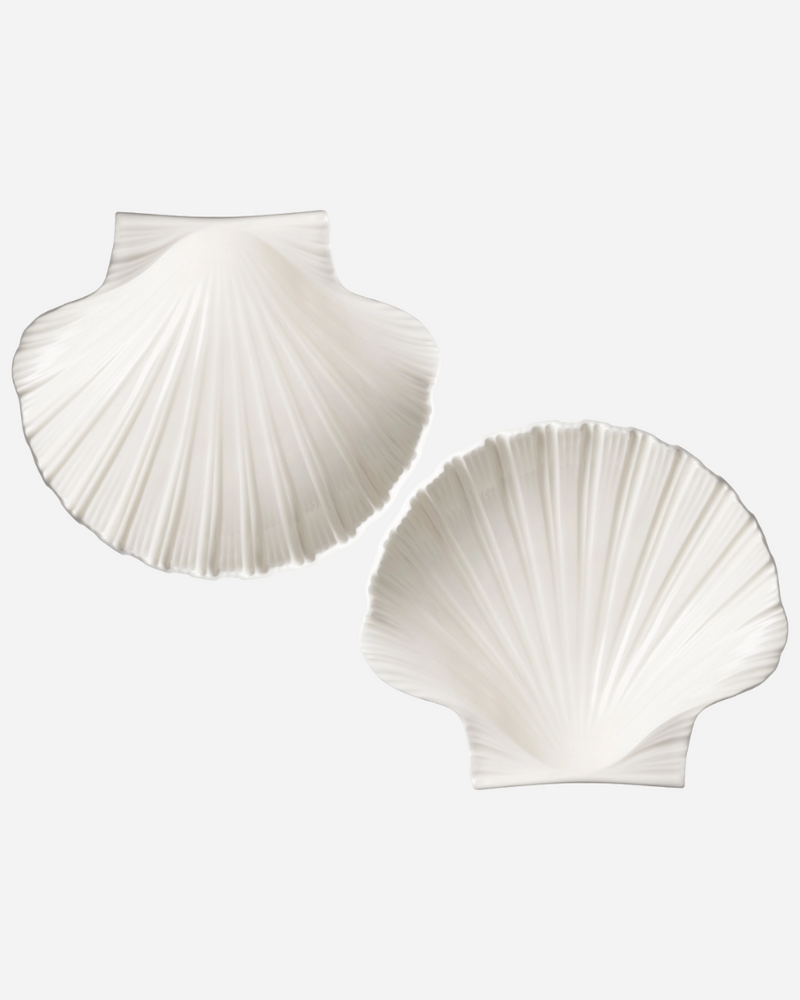 Shell Dish, Set of 2