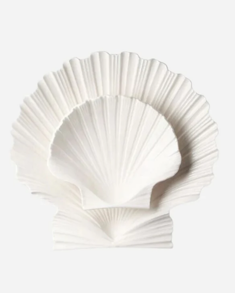 Shell Plate, Medium