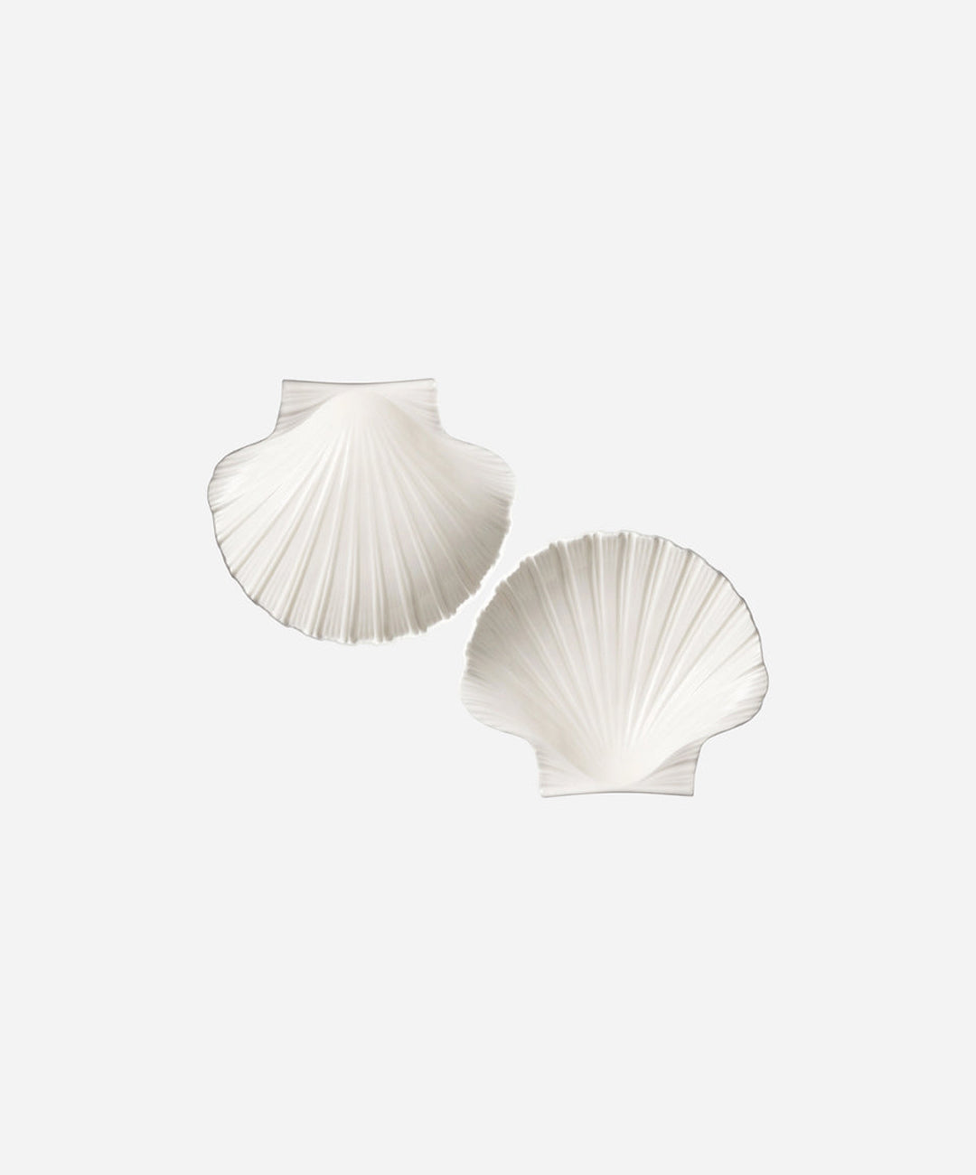 Shell Dish, Set of 2