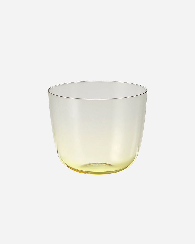 Alpha Citron Water Tumbler, Set of 2